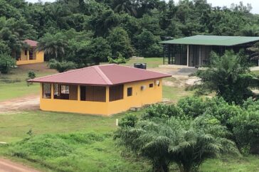 Liberia Chimpanzee Rescue (LCRP)