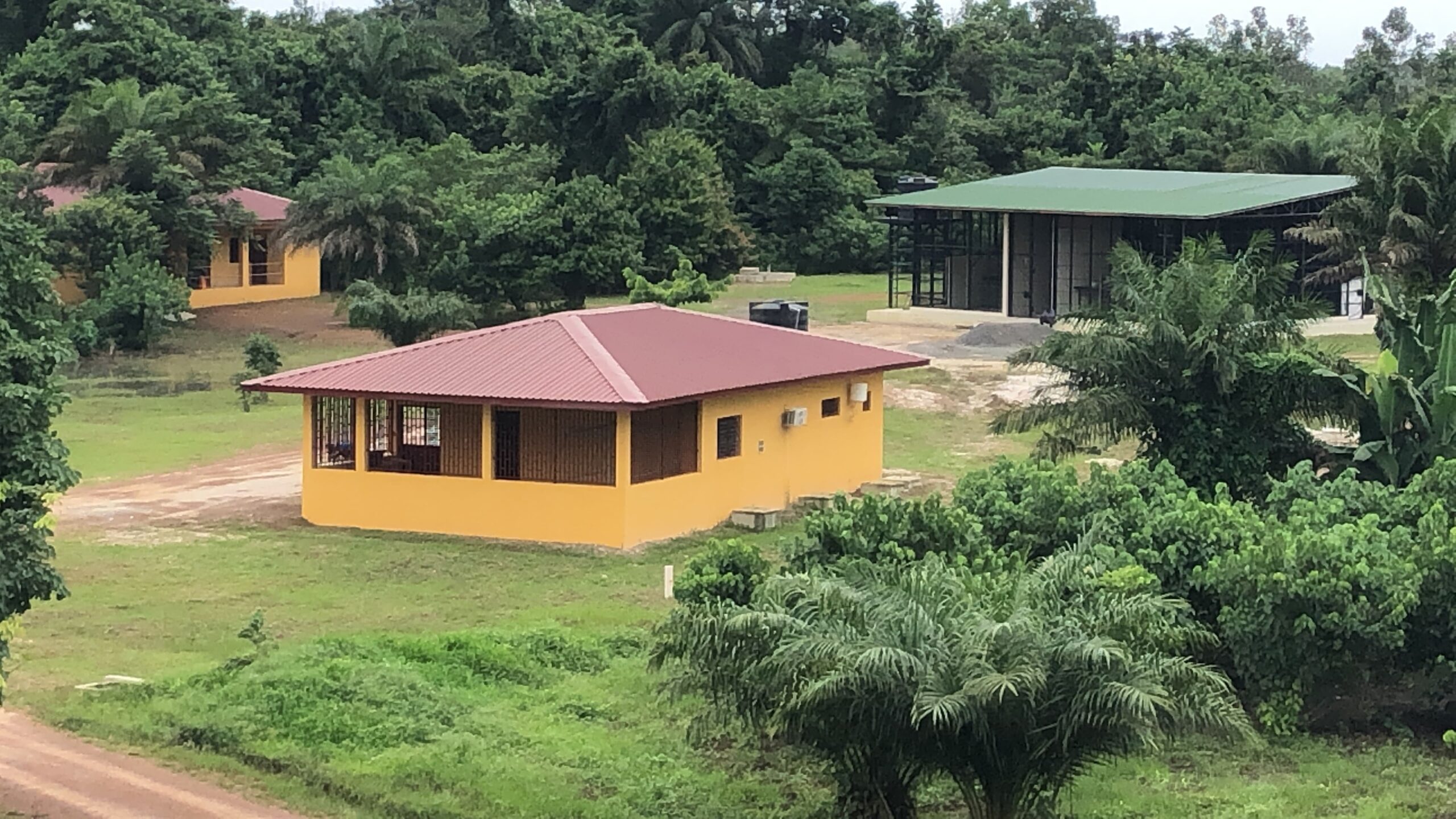 Liberia Chimpanzee Rescue (LCRP)